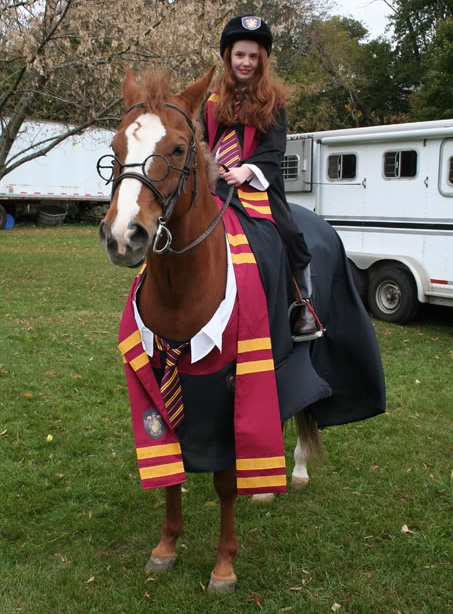 horse