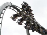 swarm