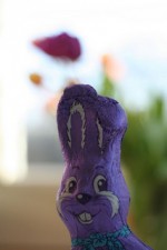 chocobunny