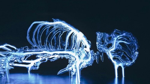 kryptoskeleton
