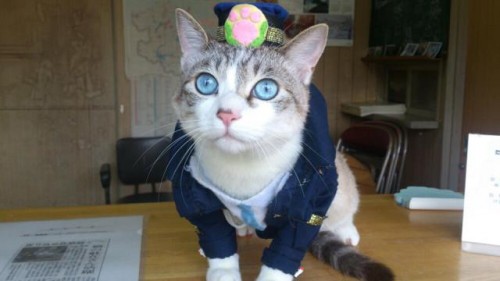 20120422_1005237.img_assist_custom