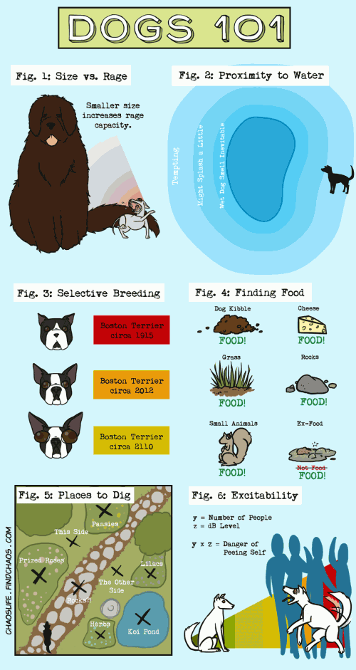 Dog-Info