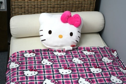 pillow blanket pet