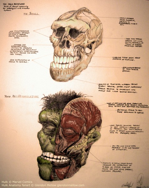 Hulk-476x600