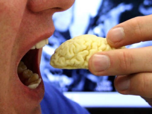 brain