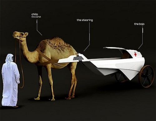 camel