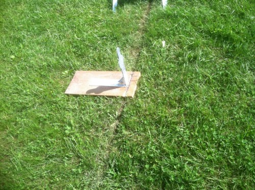 grass