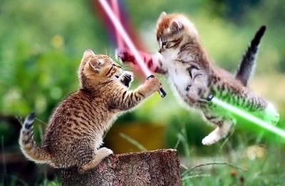 kittylightsabers