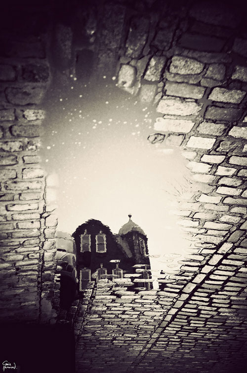 puddle3