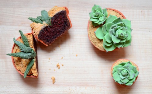 succulent cupcake