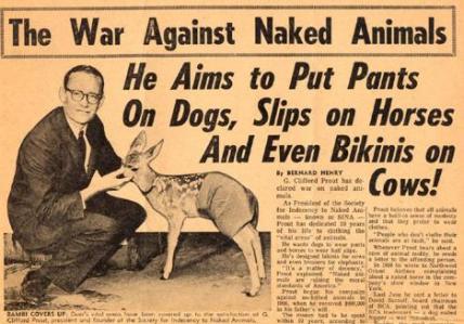 428SINAheadline