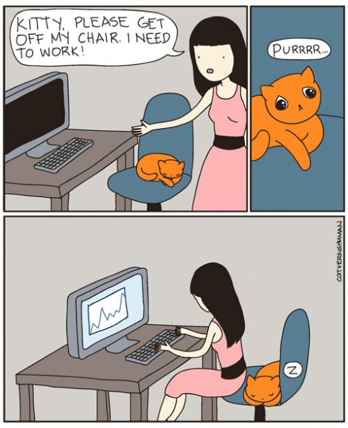 catchair