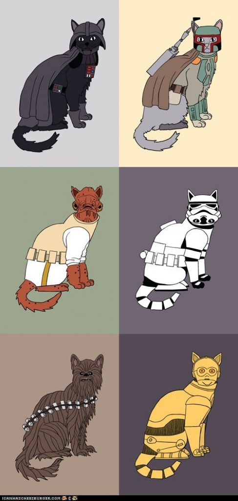 funny-pictures-may-the-cats-be-with-you2