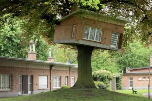 treehouse