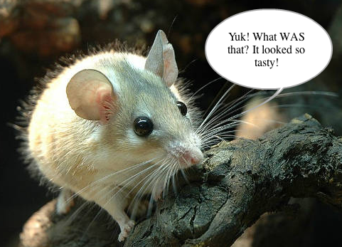 3333mouse
