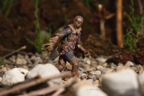 Big Chewie