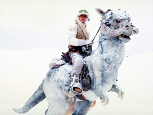 Tauntaun