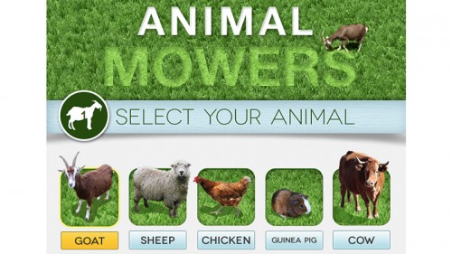 animalmowers
