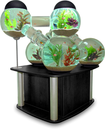 small fish tanks