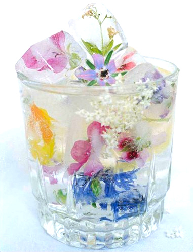 icecubes