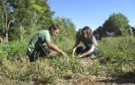 weed dating