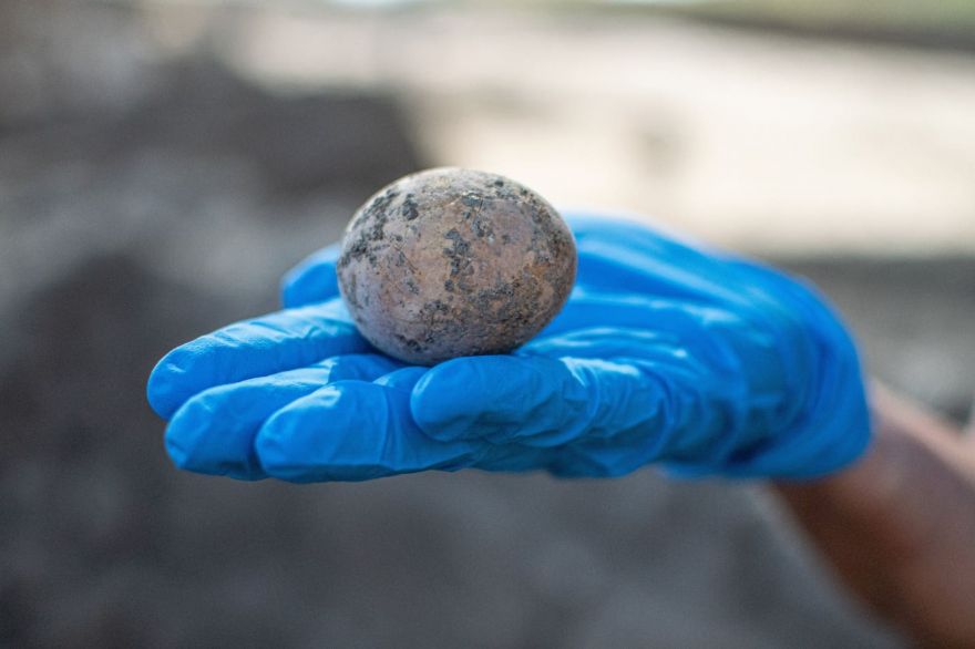 1000-Year-Old Chicken Egg Accidentally Broken