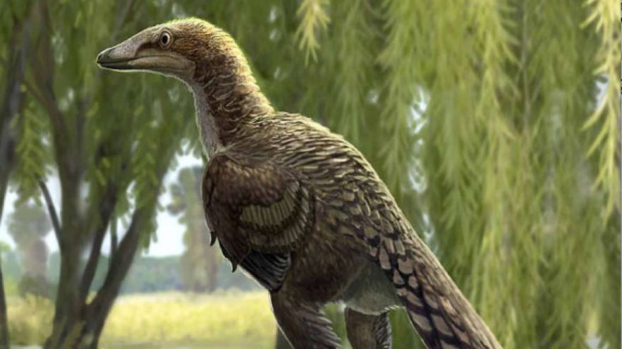 large feathered dinosaur