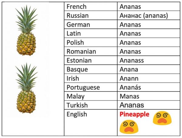 Words That Mean The Same In All Languages