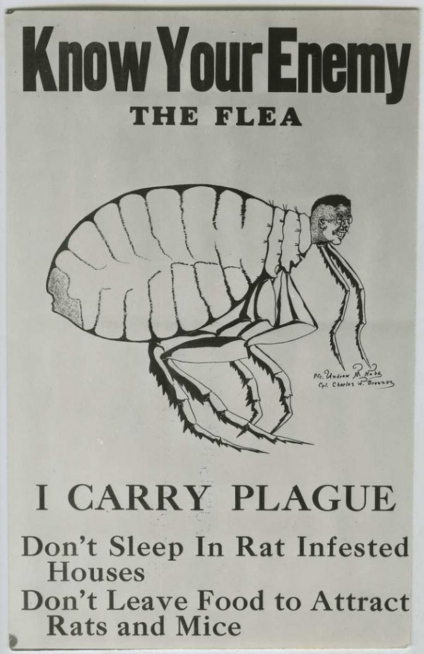 A Collection Of Vintage Public Health Posters - Neatorama
