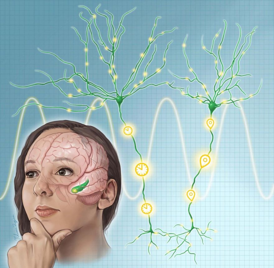 How The Brain Remembers Place and Time - Neatorama