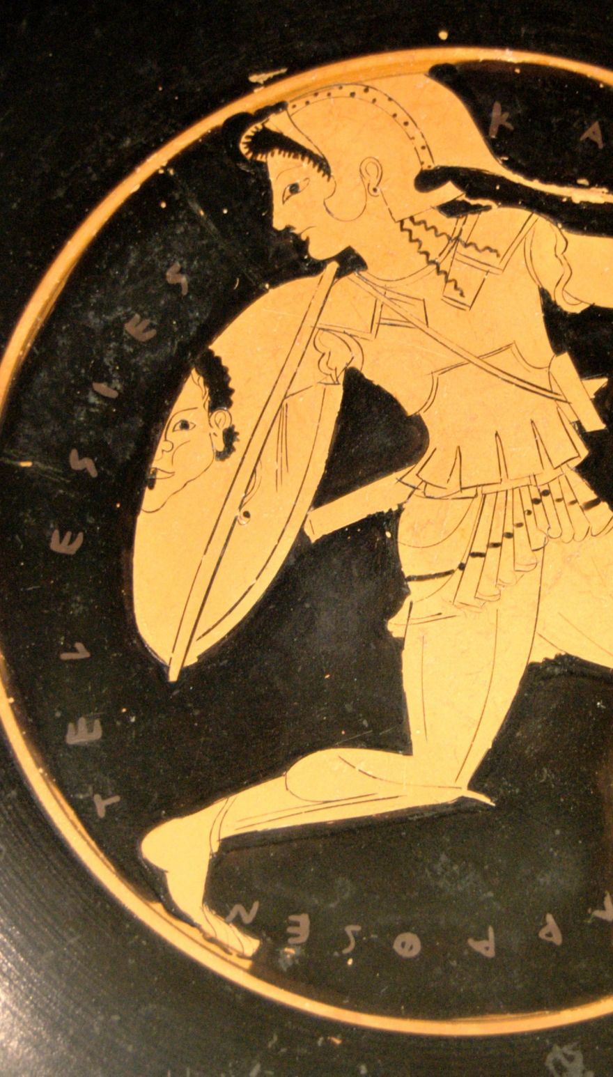 Hey, It Seems That The Amazons Were Real - Neatorama