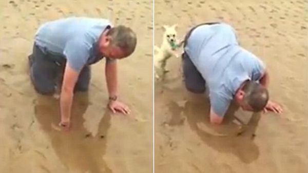 This Man Saved His Poor Little Pooch From A Pool Of Quicksand - Neatorama