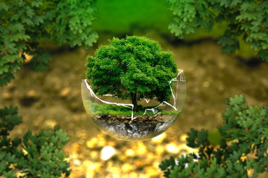 Biotech Revolution: The Next Scientific Innovations of the 21st Century ...