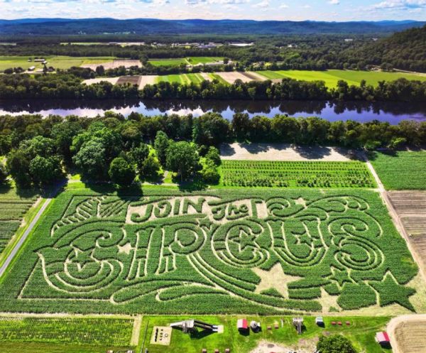 The Facts Behind Corn Mazes