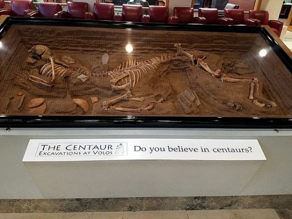 Centaur skeleton - Real- 1506859220-0