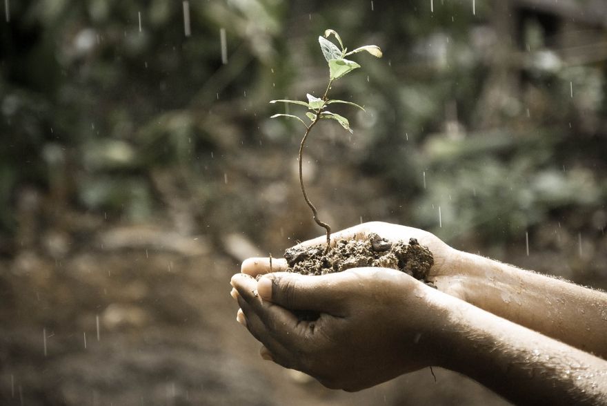 The Worlds First Human Composting Facility Coming Soon To Seattle Neatorama 