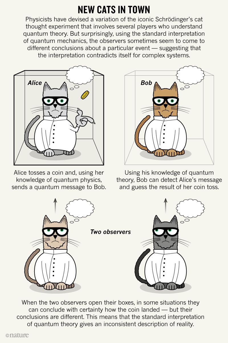 Schrödinger's Cat Thought Experiment with Multiple Cats Stumps