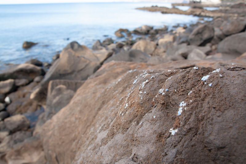 New Rock and Plastic Blend: Permanent Type of Plastic Pollution - Neatorama