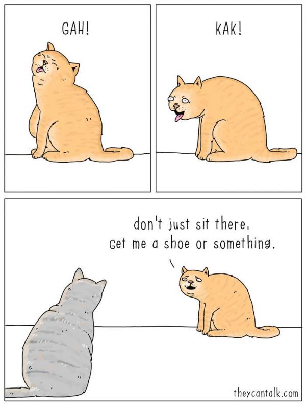 Cat Manners - Neatorama