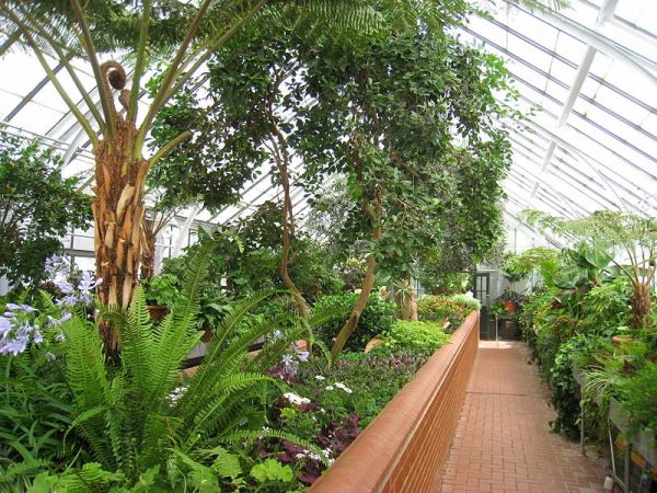 In the Greenhouse - Neatorama