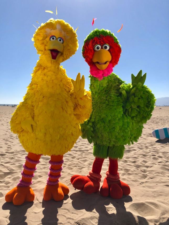 Big Bird in 5 Other Countries - Neatorama