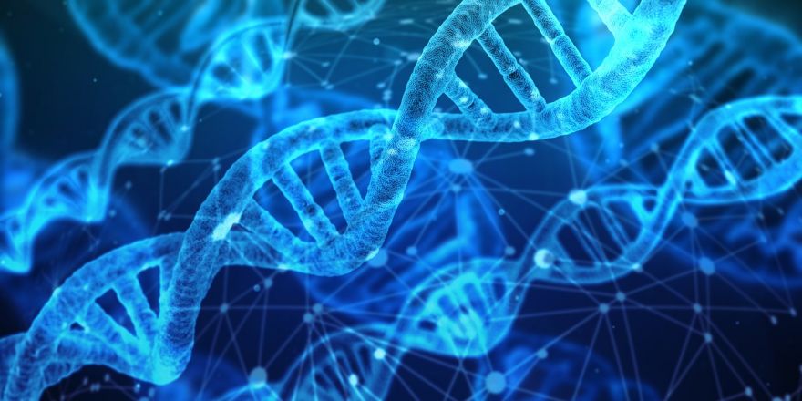 These Genes Come To Life After You Die