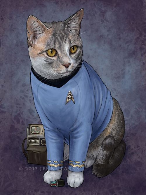 Star Trek Cats - Neatorama