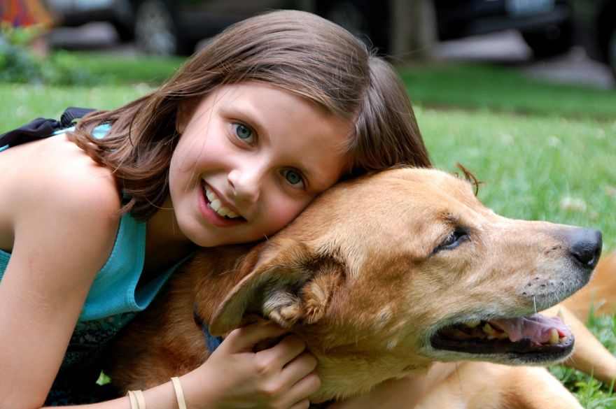 Why Do We Love Dogs So Much Neatorama why-do-we-love-dogs-so-much-neatorama