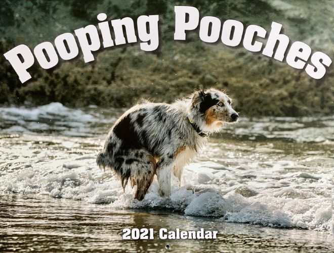 Here is The Pooping Pooches Calendar for 2021 Neatorama