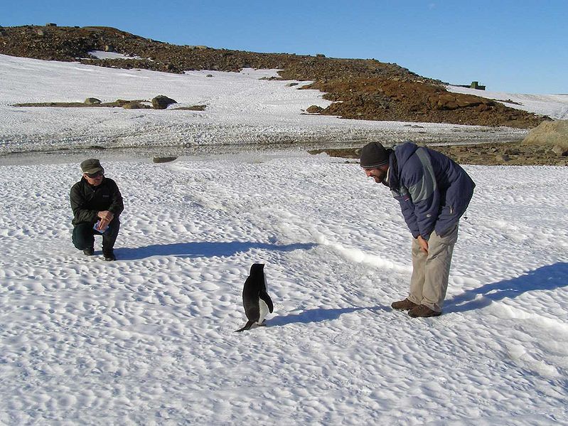 Chilling Out With Formal-Feathered Friends - Neatorama